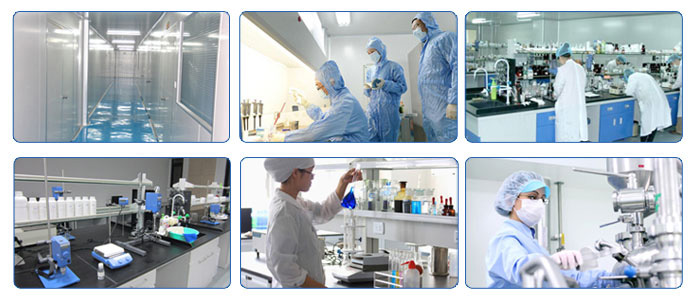 蓝淇化妆品网站建设 蓝淇化妆品网站建设