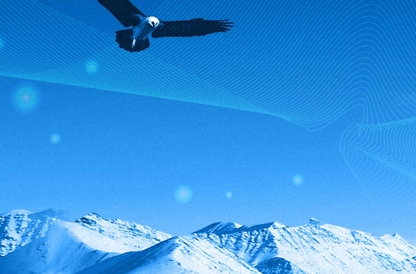 网站制作上的一些基本步骤讲解