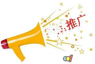 发挥网站的真正价值的几点要求