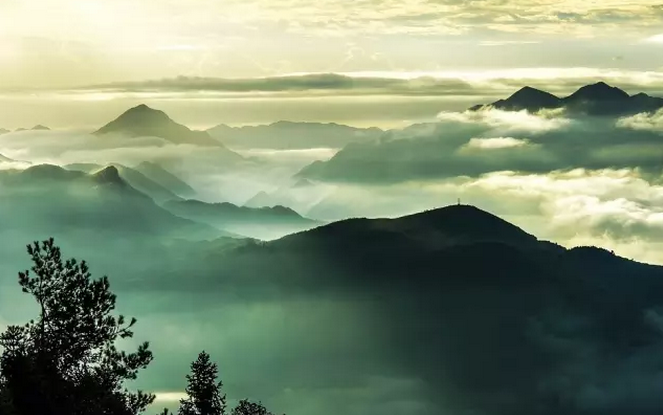 友情链接的基本原则是什么