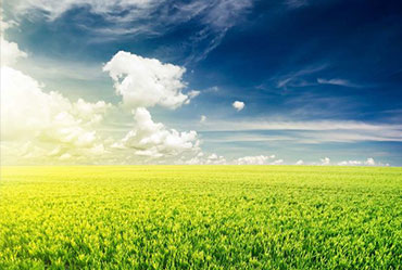 一个完好的网站建设策划是建网站的首要条件