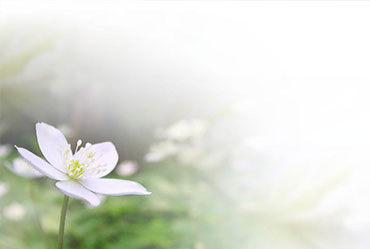 企业网站建设设计制作过程