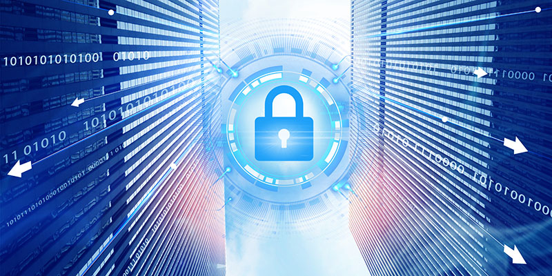 2025澳门免费资料