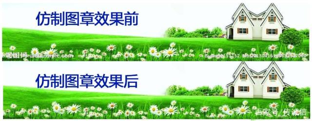 2025澳门免费资料