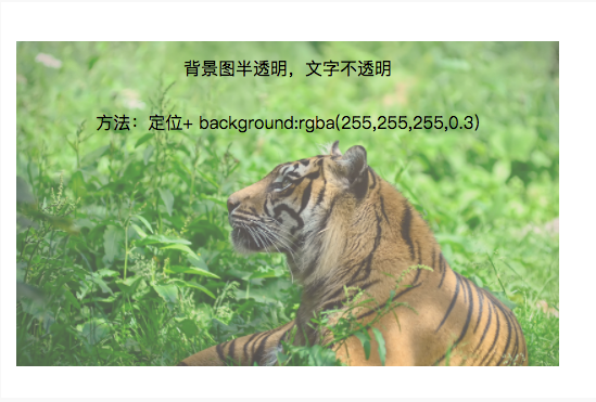 2025澳门免费资料