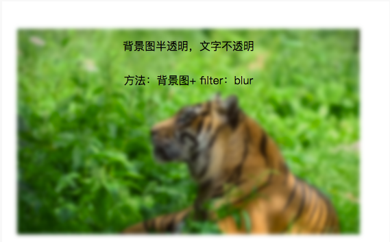 2025澳门免费资料