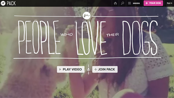 2025澳门免费资料