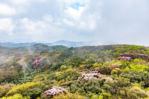 2025澳门免费资料