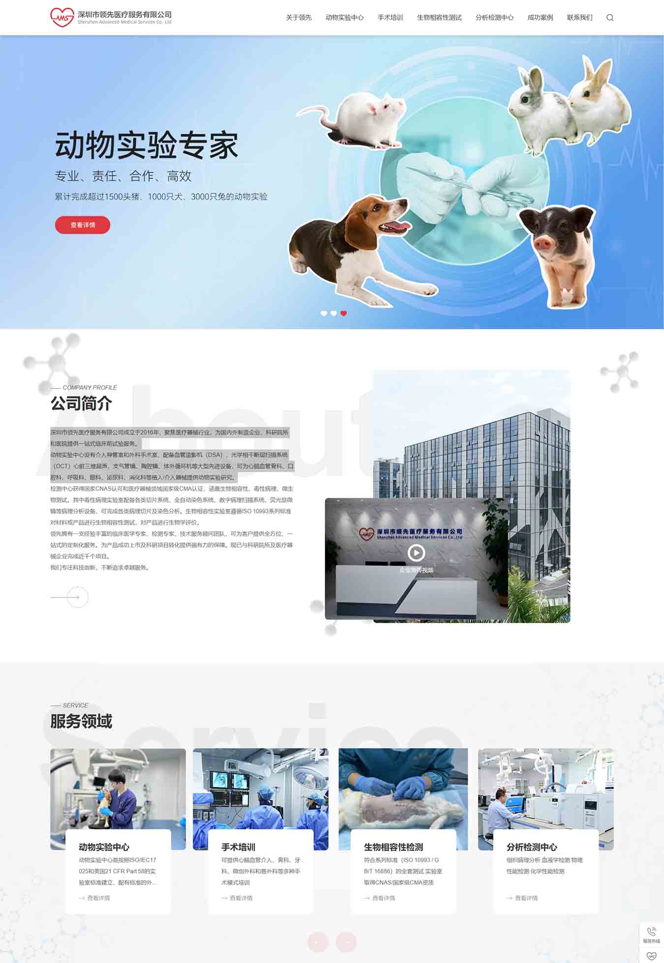 2025澳门免费资料